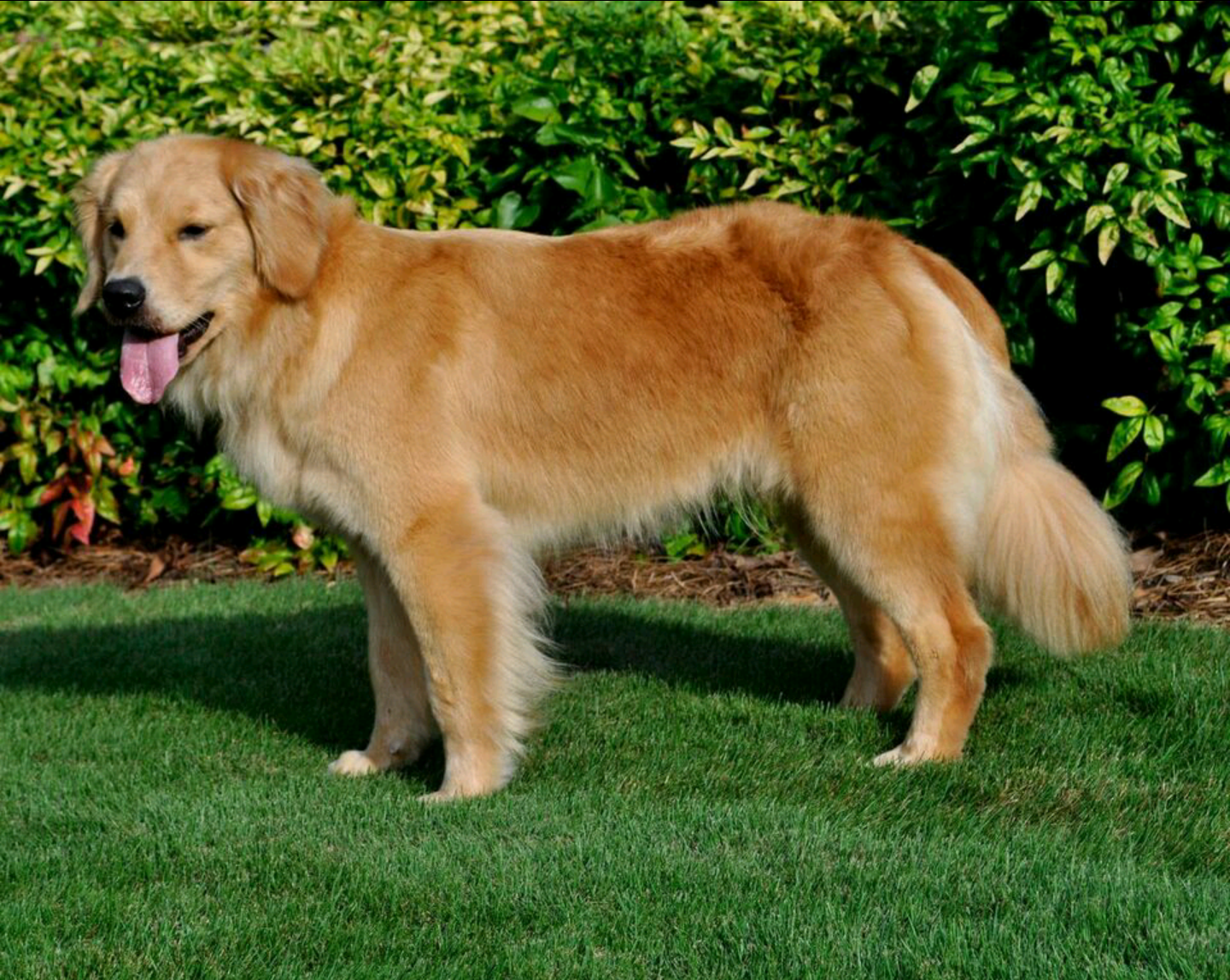 Grace at 2 Years Old