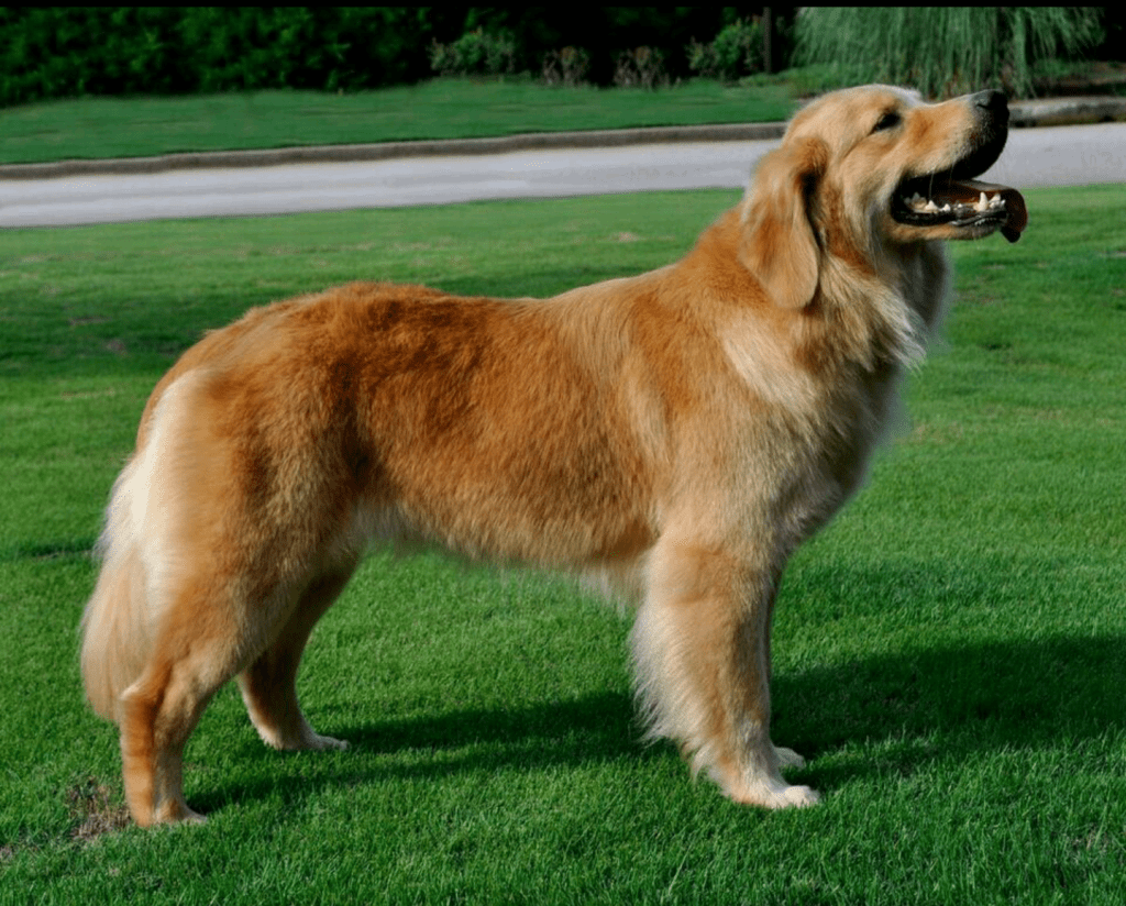 Grace at 2 Years Old