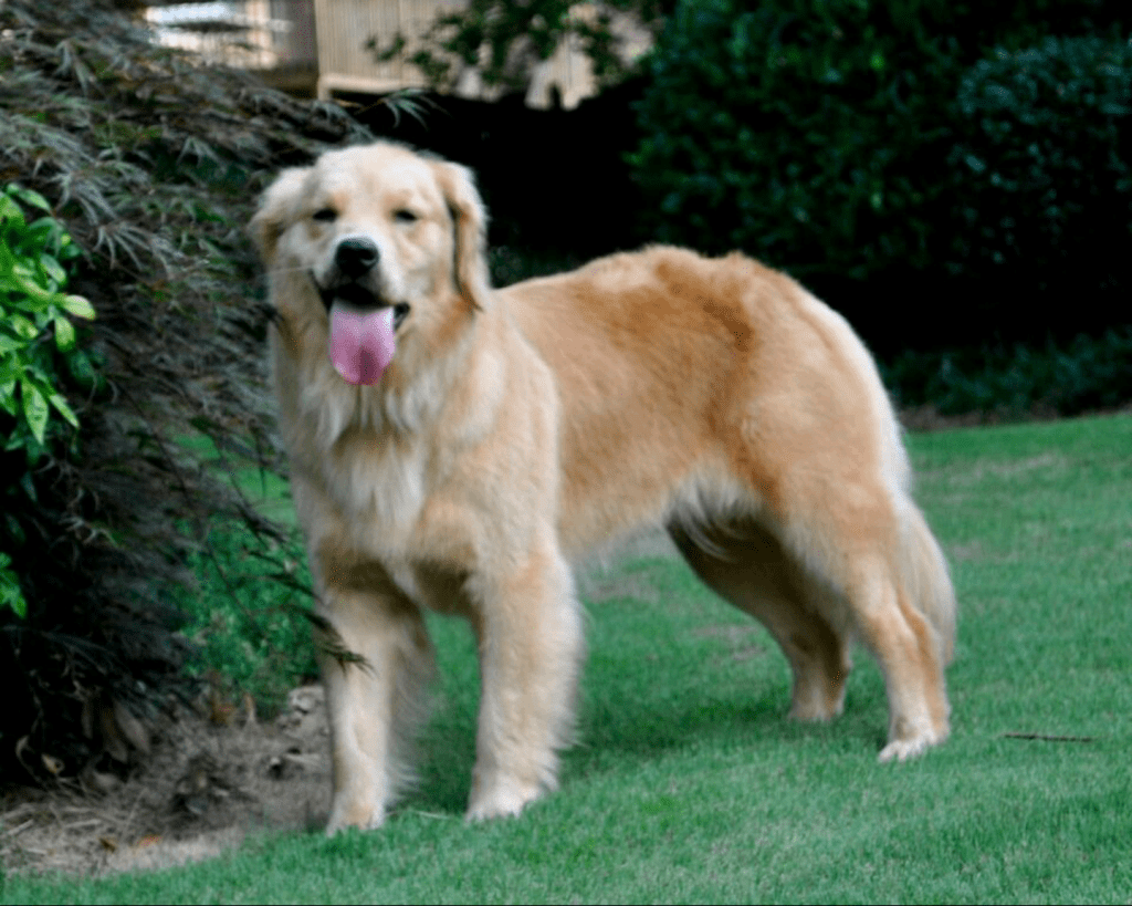 Grace at 2 Years Old