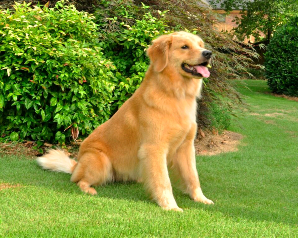 Grace at 2 Years Old